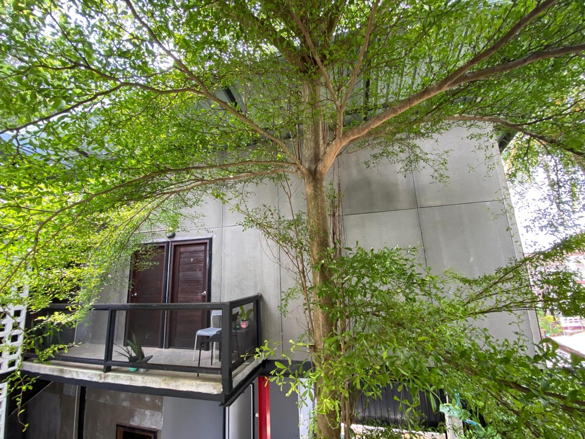 Nokhook House Hostel Trang Ngoại thất bức ảnh
